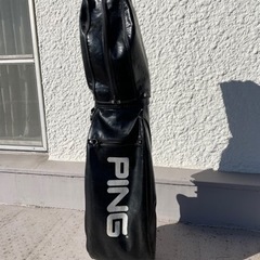 【取りに来られる方限定】キャリーバッグ差し上げます　PING ピン
