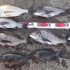 磯釣り仲間募集