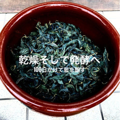スクモ、藍染、藍建て、草木染めの全てを１日で学べる究極の体験教室！発酵は全て「手作り」から！（常総市）の画像