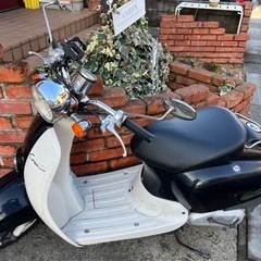 【個人❗️綺麗‼️好調❣️】ジョルノクレア(スマホホルダー.ヘルメット付き)の画像