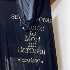 SEKAI NO OWARI ライブグッズ 炎と森のカーニバル マジックローブの画像