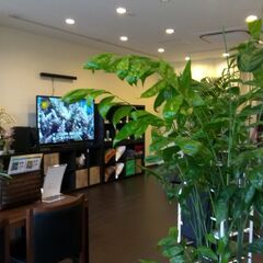 ★高時給パート★週休3日正社員★美容師★駅近★植物材料で手荒れ知らずの画像