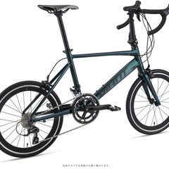 giant idiom1 カメレオンギャラクシー 2021年モデル