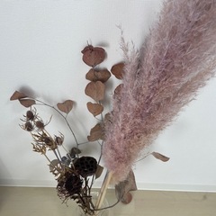 ドライフラワーの画像