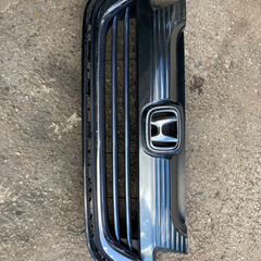 シルバーアロワナ