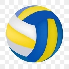 ソフトバレーのメンバーを募集しています‼︎