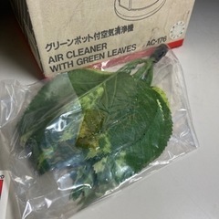 ツインバード　グリーンポット付き空気清浄機AC-176の画像