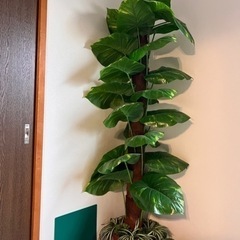 観葉植物　造花