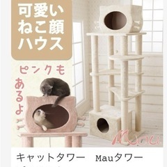 ヒカキンさんと同じ猫顔のキャットタワー　マウ　プリシャトー　ピン...