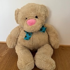 ぬいぐるみ　クマ　