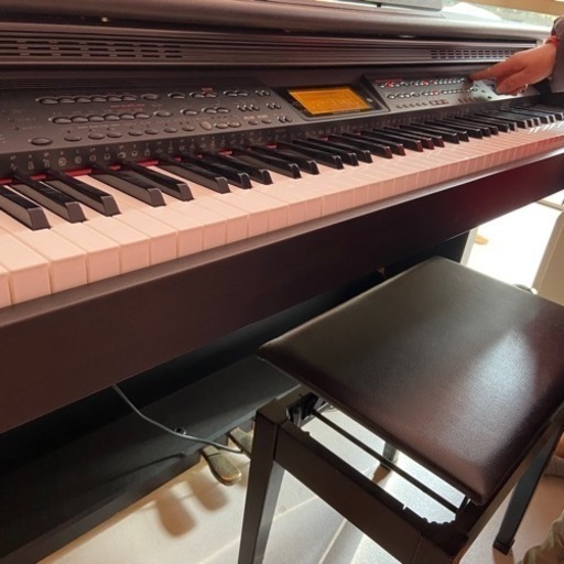 カシオ　AL-100R CELVIANO 値下げしました‼︎