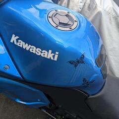 kawasaki NINJA250R オマケ付きの画像