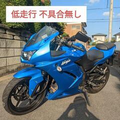kawasaki NINJA250R オマケ付き