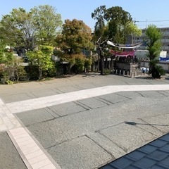 🌸フリーマーケット出店募集🌸真宗寺 − 兵庫県