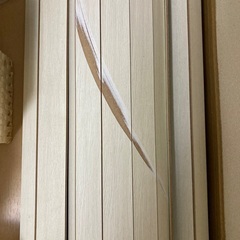 ウッドカーペット