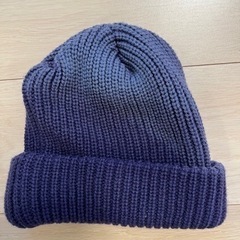 イルビゾンテ　ニット帽　パープルの画像