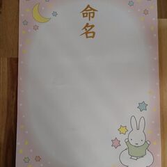 命名紙１枚　ミッフィー