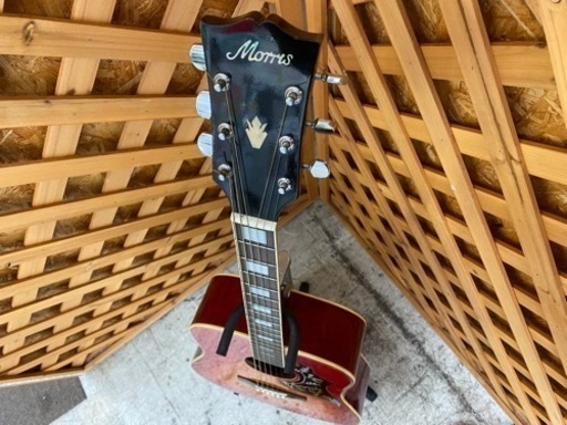【愛品館 江戸川店】Morris（モーリス）WH-25 アコースティックギター ID:125-010934-007