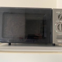 Iwatani 電子レンジ