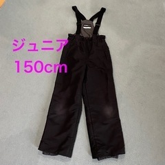 IGNIOスキースノボパンツ/150cm