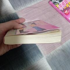 携帯恋愛小説①単品も可の画像