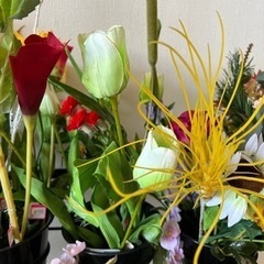 造花　の画像