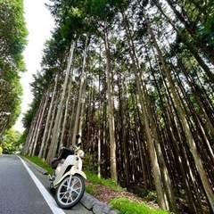 平日休み、橋本近郊にお住まいの方、追加募集。カブ系ツーリング、J...