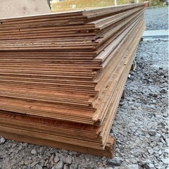 24ミリ　合板の画像