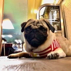 無料ビリヤード教室の画像