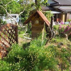 蜜源植物を増やしたいので、ご支援ください。　日本ミツバチ保護です