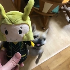 marvel友達募集\( ¨̮ )/ - 広島市