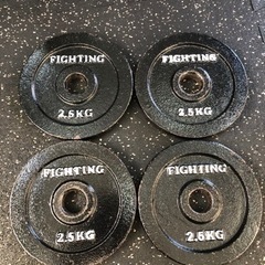 ファイティングロード  2.5kg アイアンプレート　4枚