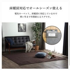 200×300 電気カーペット対応　ラグ