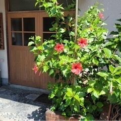 『麻雀』をいちから教えてます😆✨ - 友達