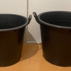 新品）ナーセリーポット 2つセット