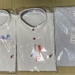 相模原中等教育学校のブラウスとポロシャツ