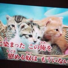 平日にカラオケ🎤とかスポーツ🌻のグル。帯広、音更、十勝