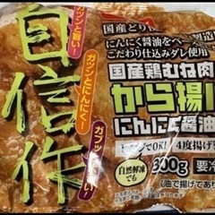 【300g×15袋セット】冷凍食品 からあげ 【レンジ・自然解凍で簡単！】ガツンと国産鶏むね唐揚げの画像