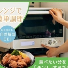 【300g×15袋セット】冷凍食品 からあげ 【レンジ・自然解凍で簡単！】ガツンと国産鶏むね唐揚げの画像