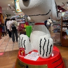 2月20日(月)昼間空いている方🫣