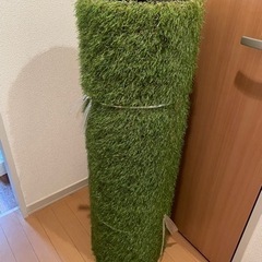 人工芝　芝生　防カビ　1m×7m 未使用　