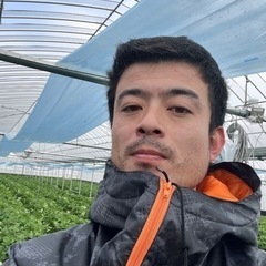 苺の農作業！