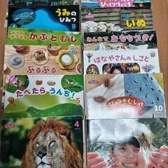 サンチャイルド　ビッグサイエンス　2017年度　絵本　12冊