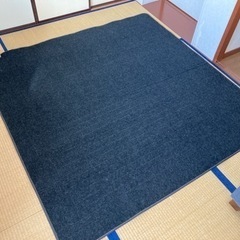 【受渡し者決定】ホットカーペット