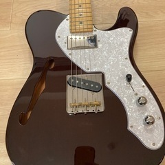 フジゲン　エレキギター　FGN NTL11MMHT-WN/01の画像