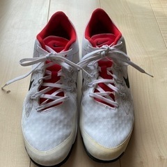 室内用　NIKEテニスシューズ　26cm