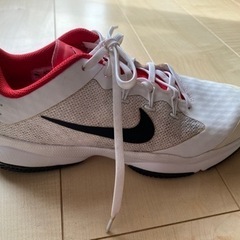 室内用　NIKEテニスシューズ　26cmの画像