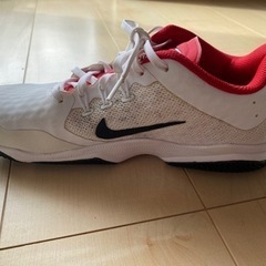室内用　NIKEテニスシューズ　26cmの画像