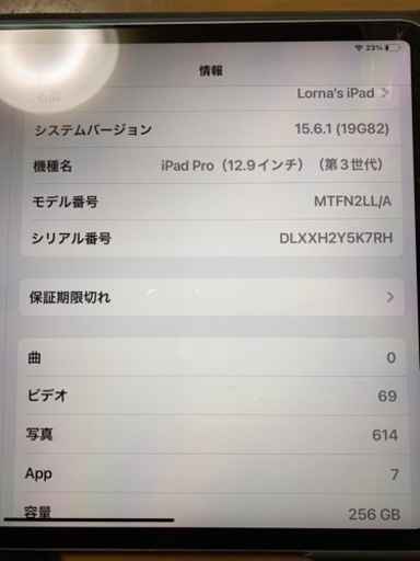 週末限定SALE iPad Pro 12.9 WI-FI 第3世代 256GB