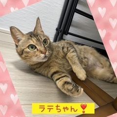 【代理投稿】人が大好きな女の子